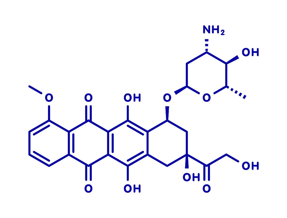 Epirubicin chemotherapy drug, molecular model