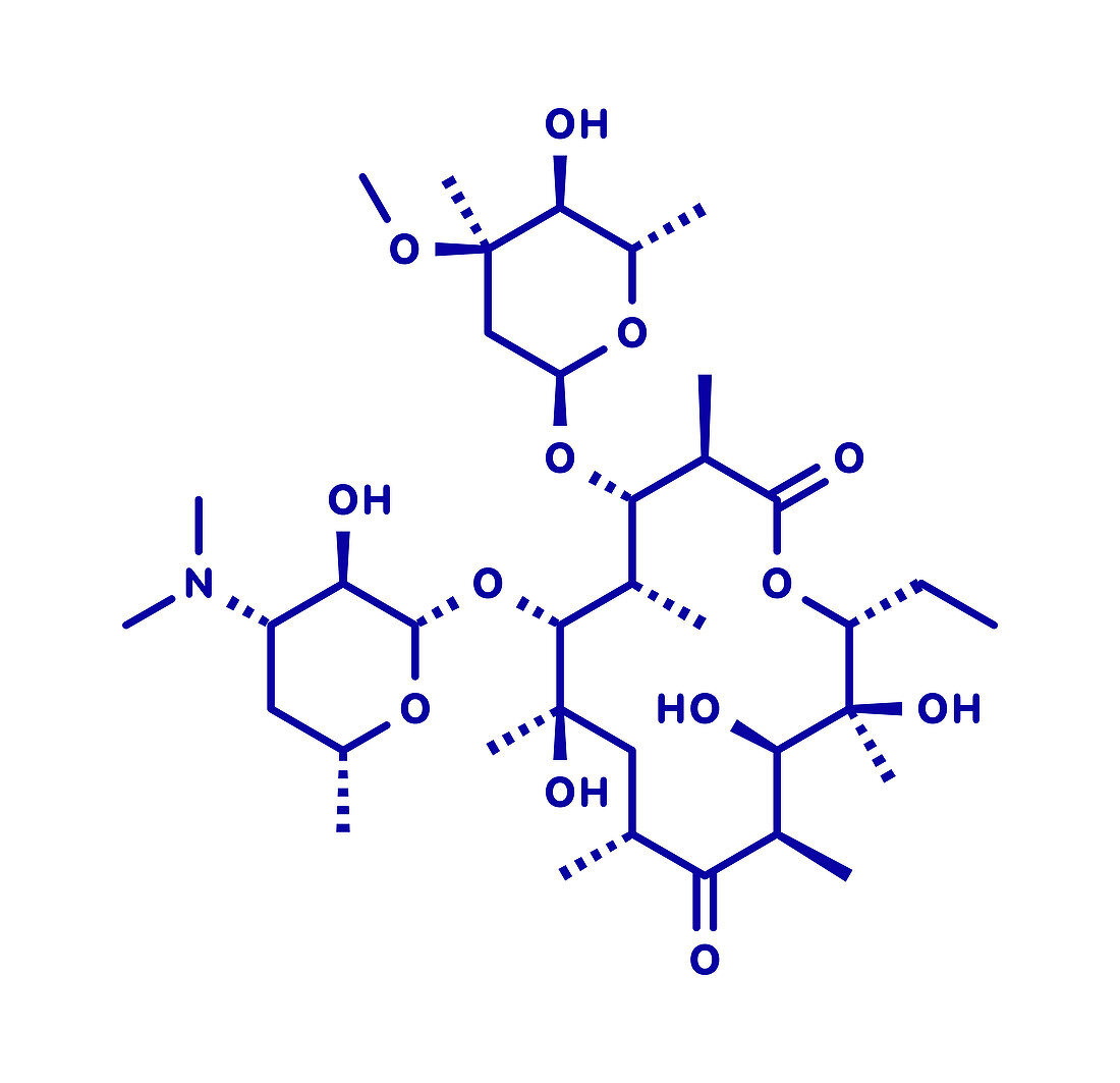 Erythromycin antibiotic drug, molecular model