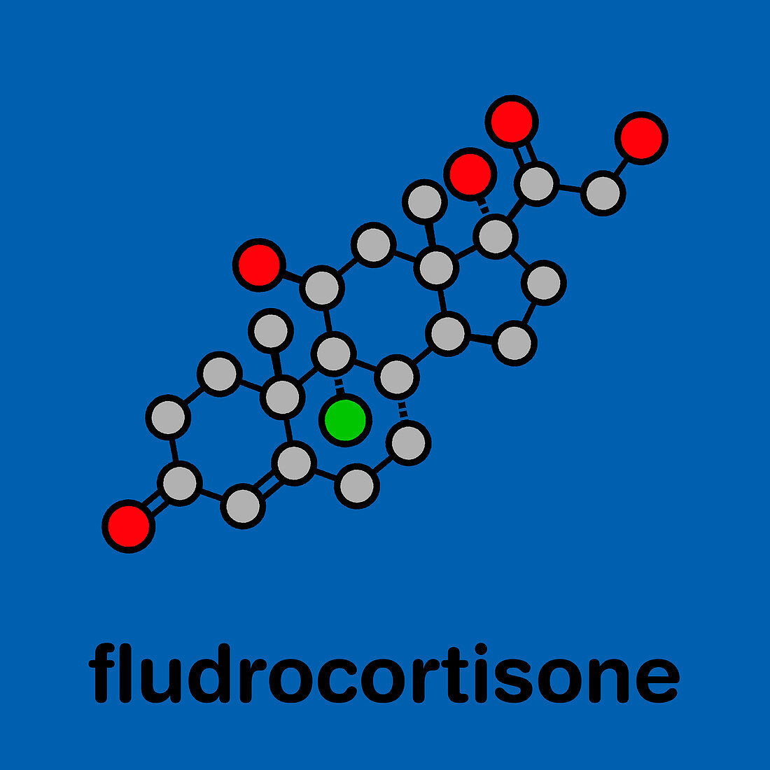 Fludrocortisone aldosterone hormone substitution molecule