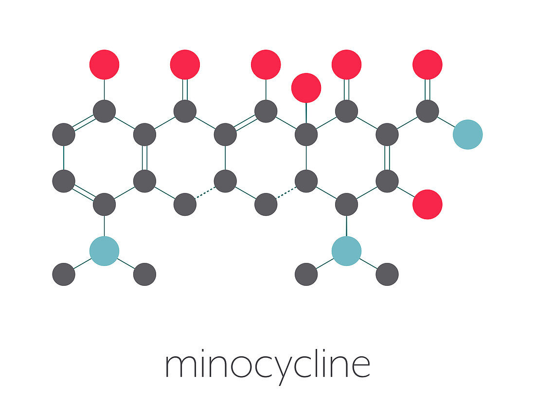 Minocycline antibiotic drug, molecular model