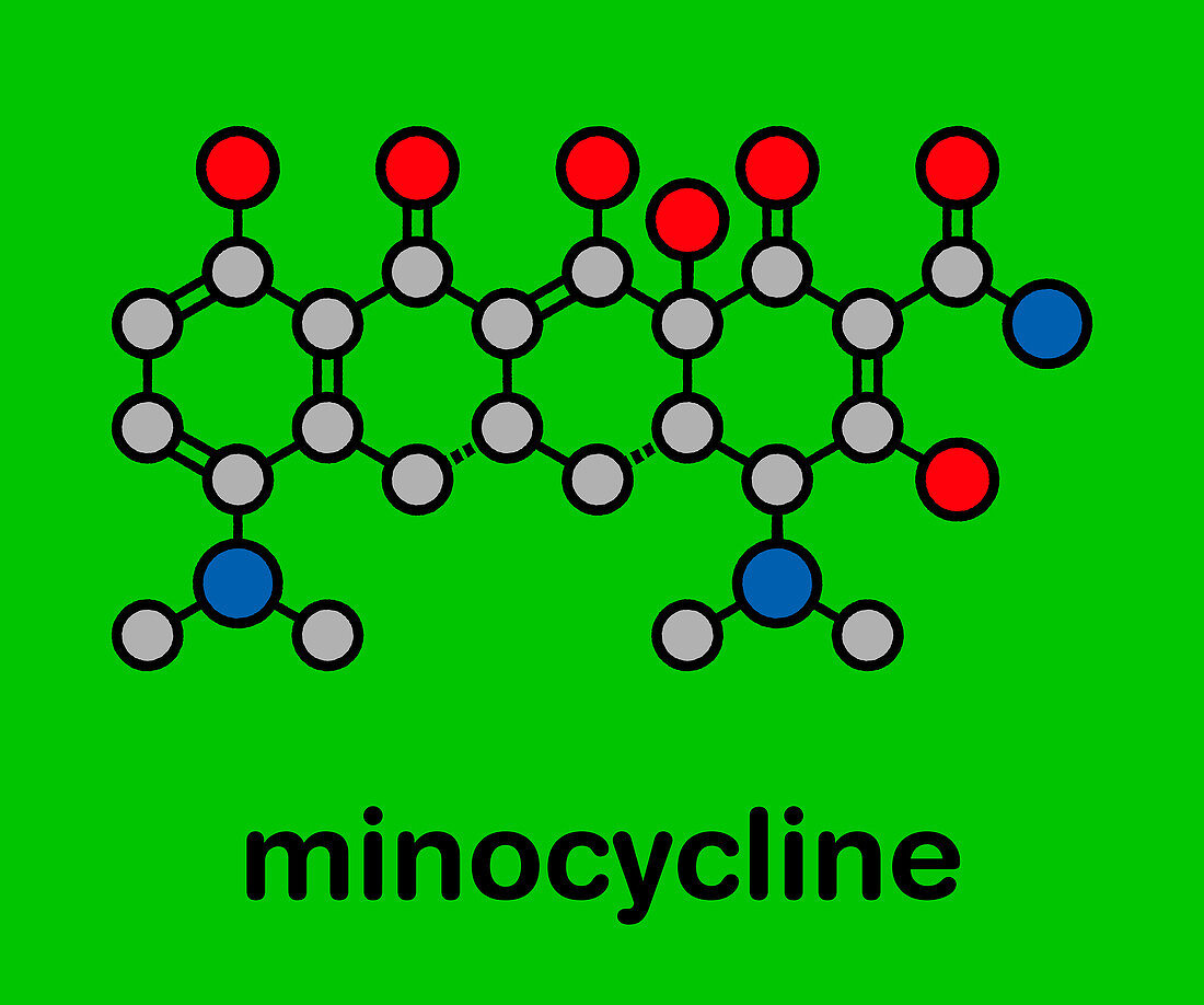Minocycline antibiotic drug, molecular model