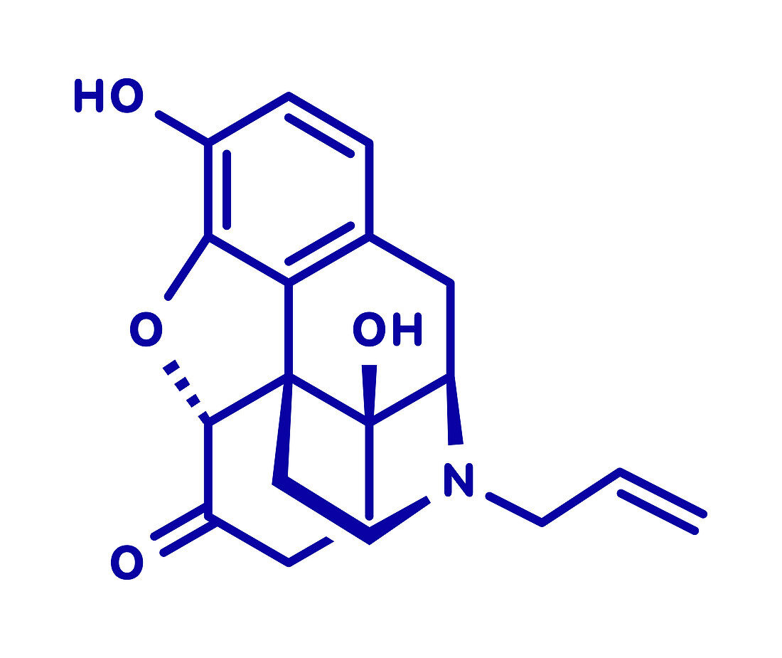 Naloxone opioid receptor antagonist, molecular model