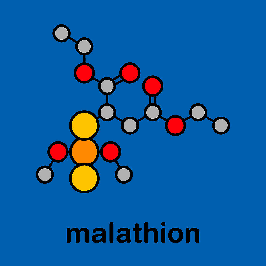 Malathion insecticide, molecular model
