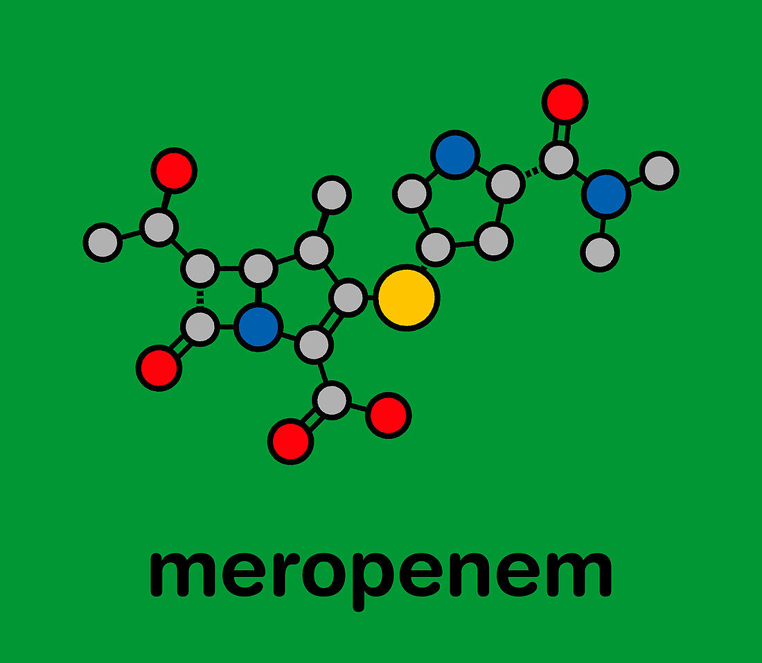 Meropenem broad-spectrum antibiotic drug, molecular model