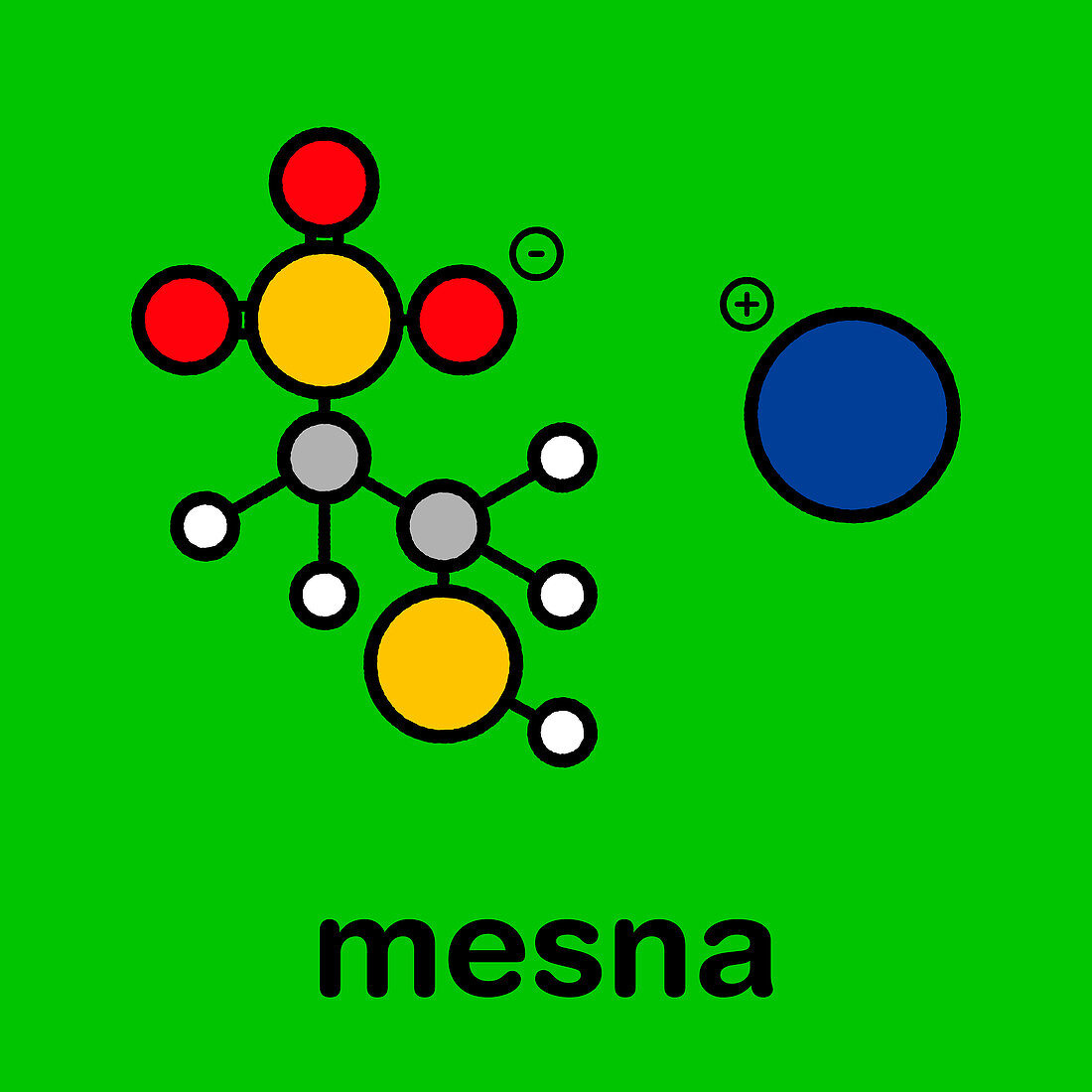 Mesna chemotherapy adjuvant and mucolytic drug molecule