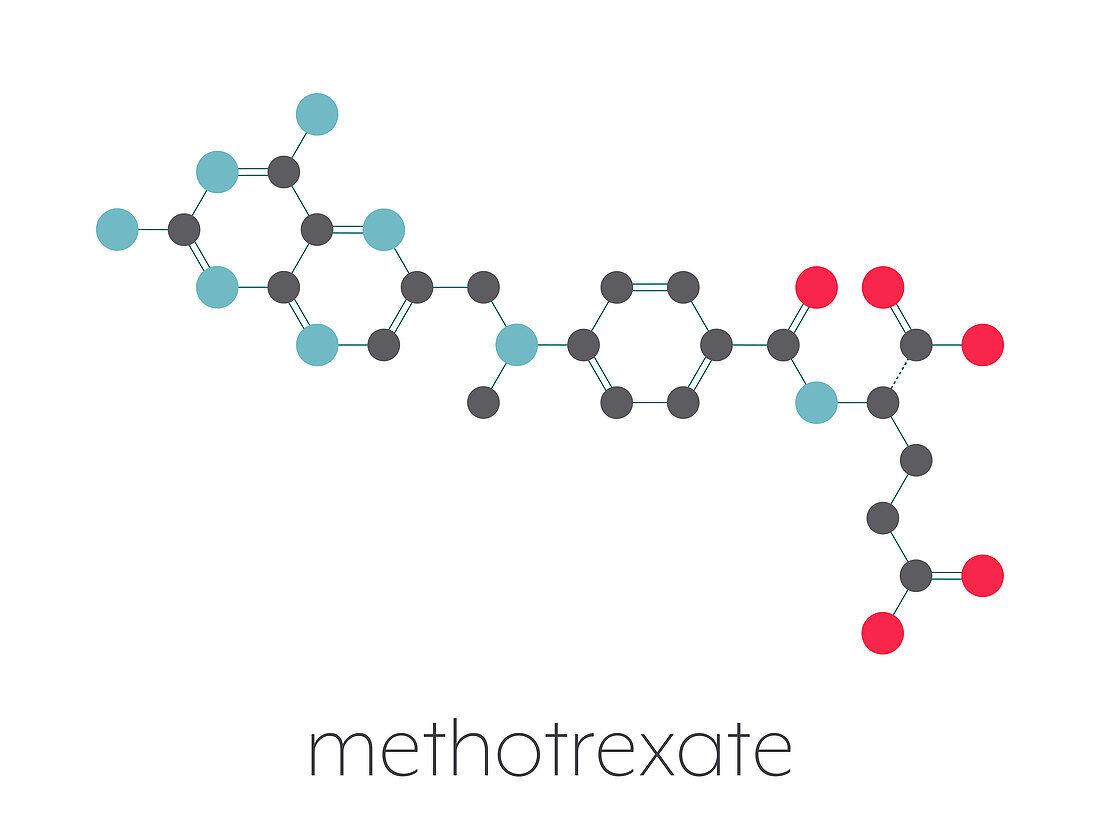 Methotrexate chemotherapy drug, molecular model