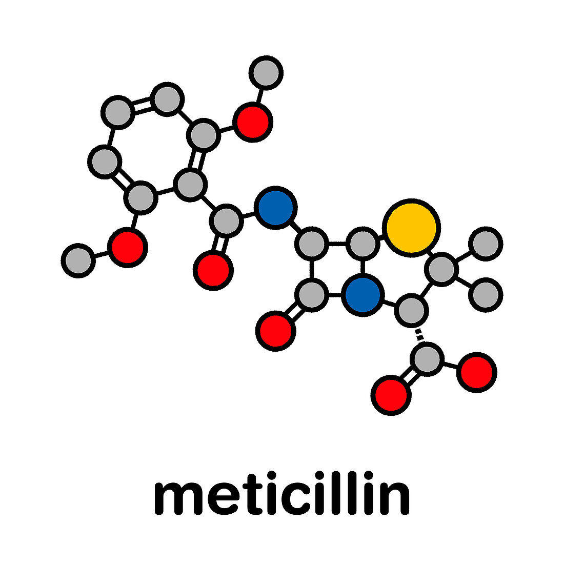 Meticillin antibiotic drug, molecular model