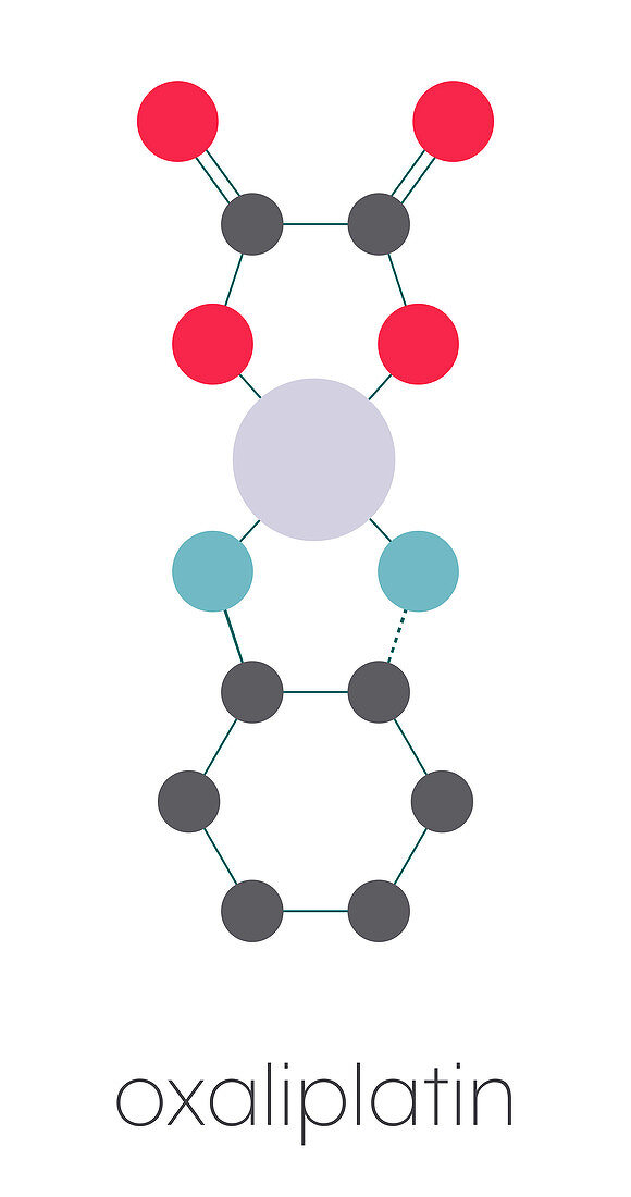 Oxaliplatin chemotherapy drug, molecular model