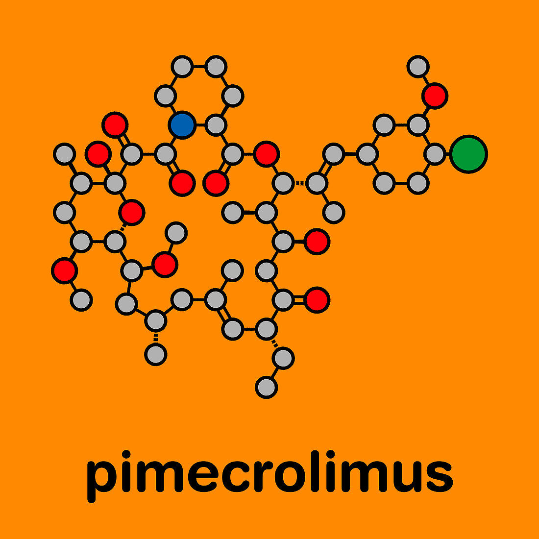 Pimecrolimus eczema drug, molecular model