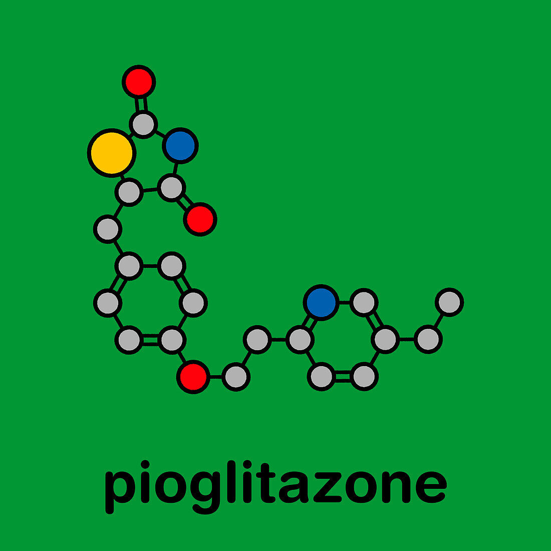 Pioglitazone diabetes drug, molecular model