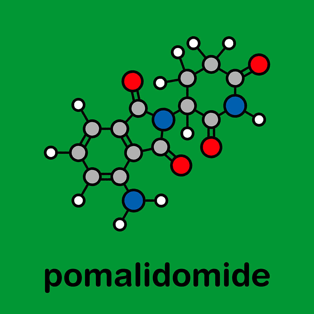 Pomalidomide multiple myeloma drug, molecular model