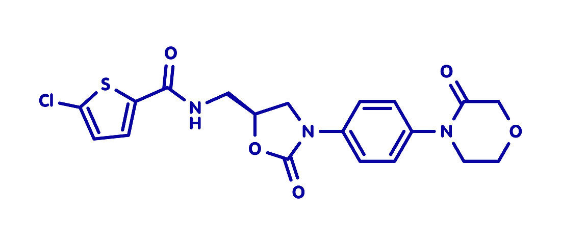 Rivaroxaban anticoagulant drug, molecular model