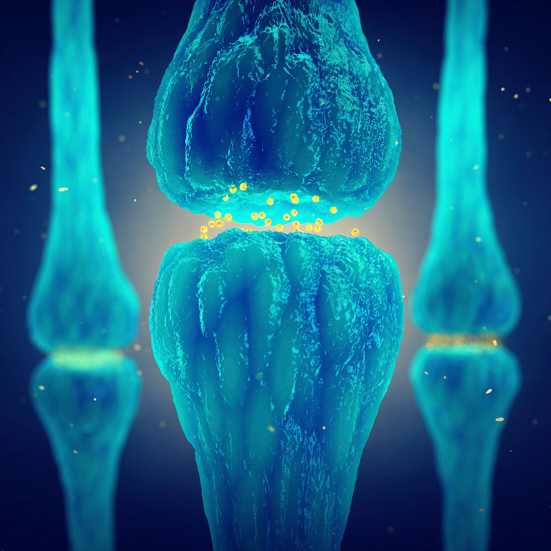 Nerve synapses, illustration