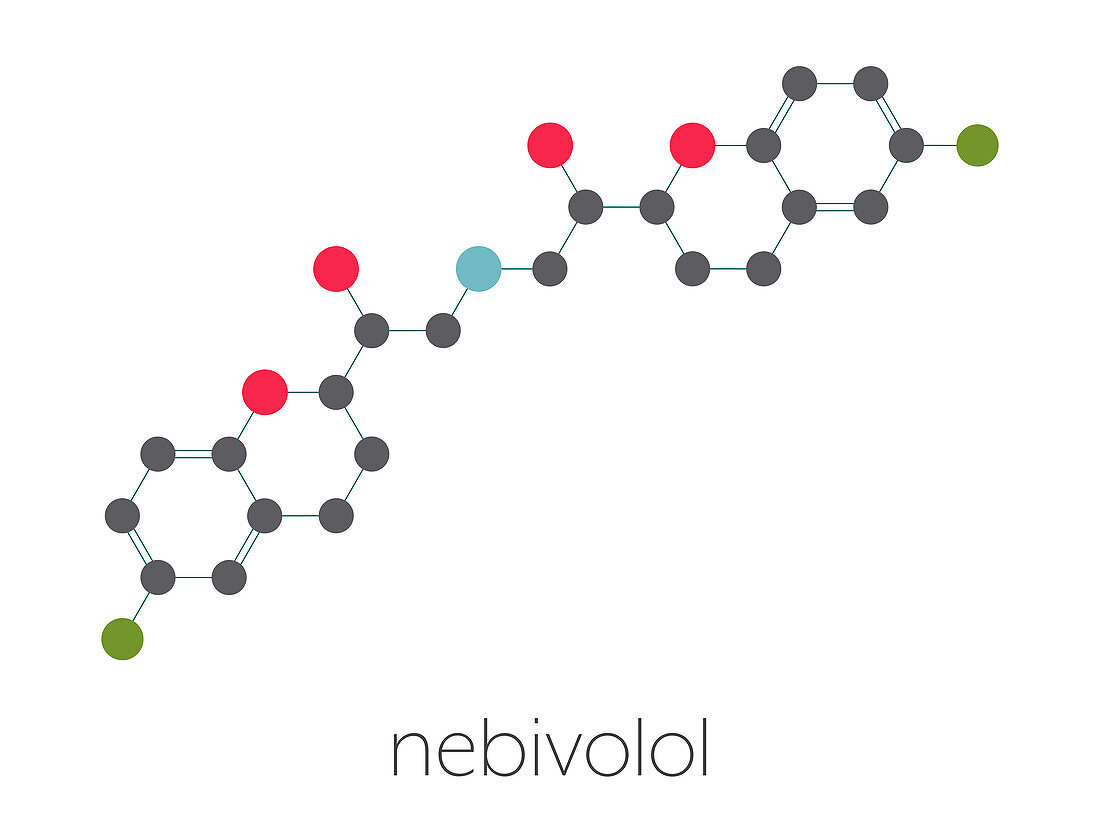 Nebivolol beta blocker drug, molecular model