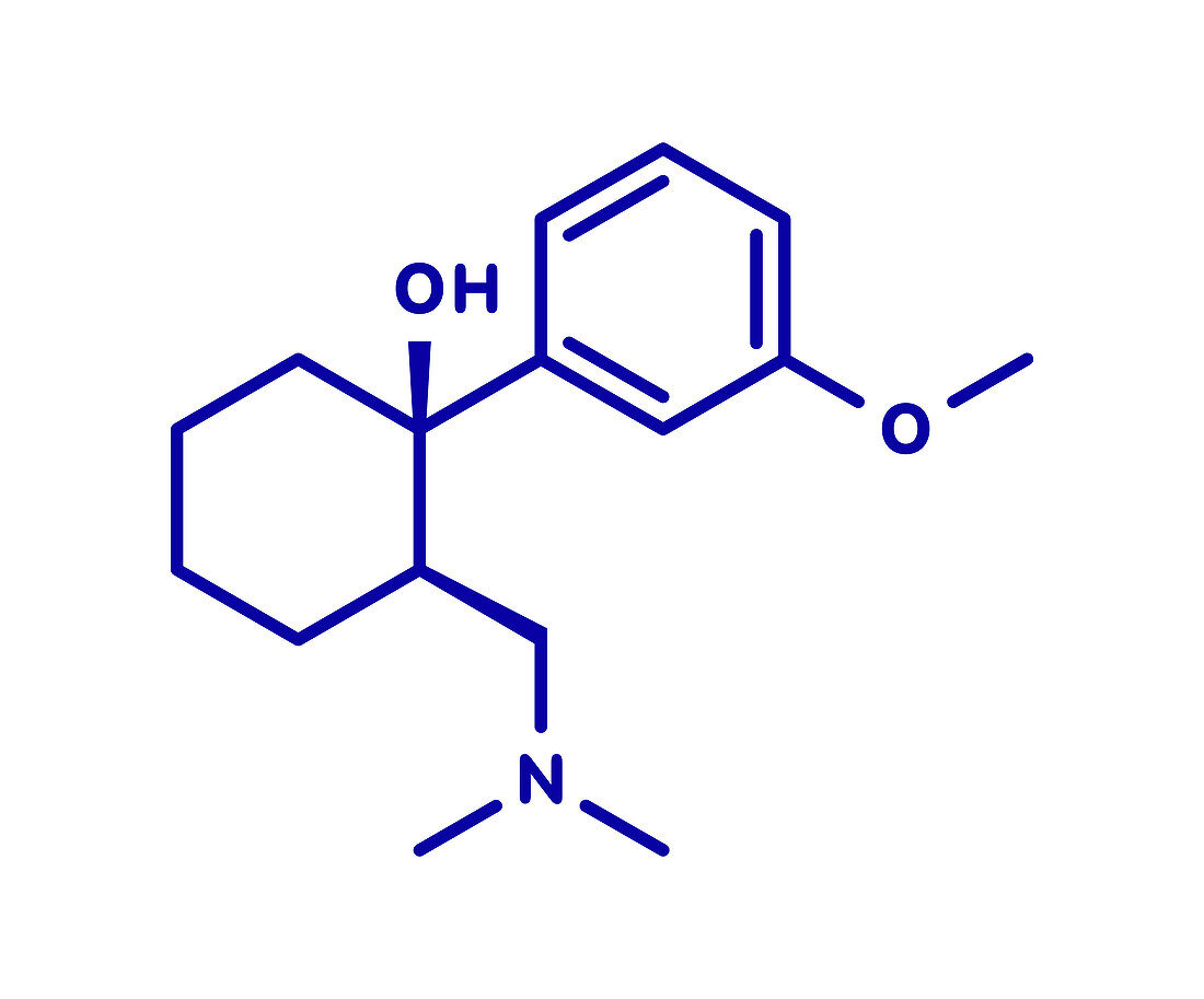 Tramadol opioid analgesic drug, molecular model