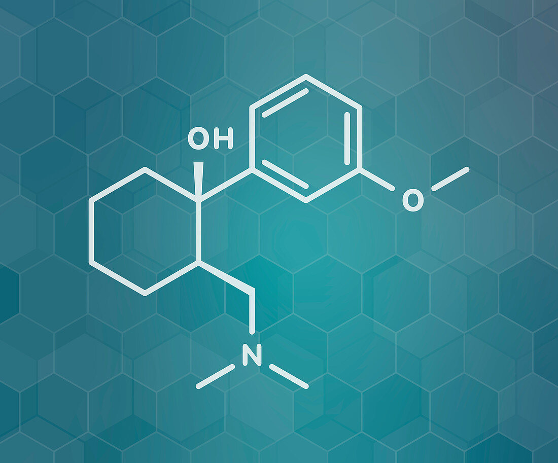 Tramadol opioid analgesic drug, molecular model