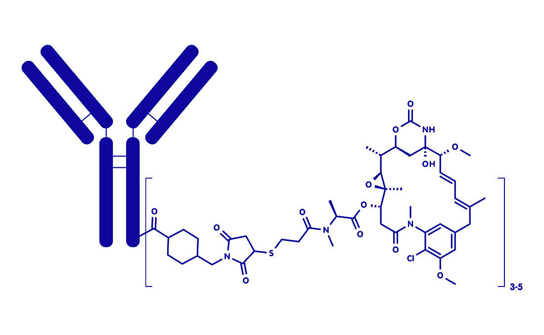 Trastuzumab emtansine antibody-drug conjugate molecule