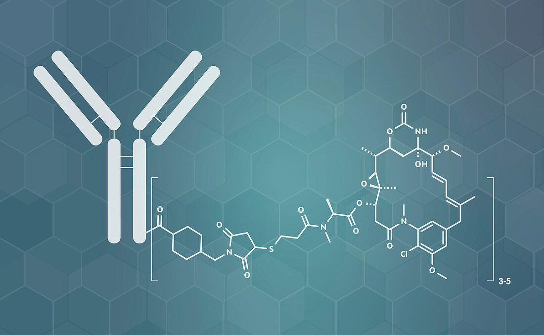 Trastuzumab emtansine antibody-drug conjugate molecule