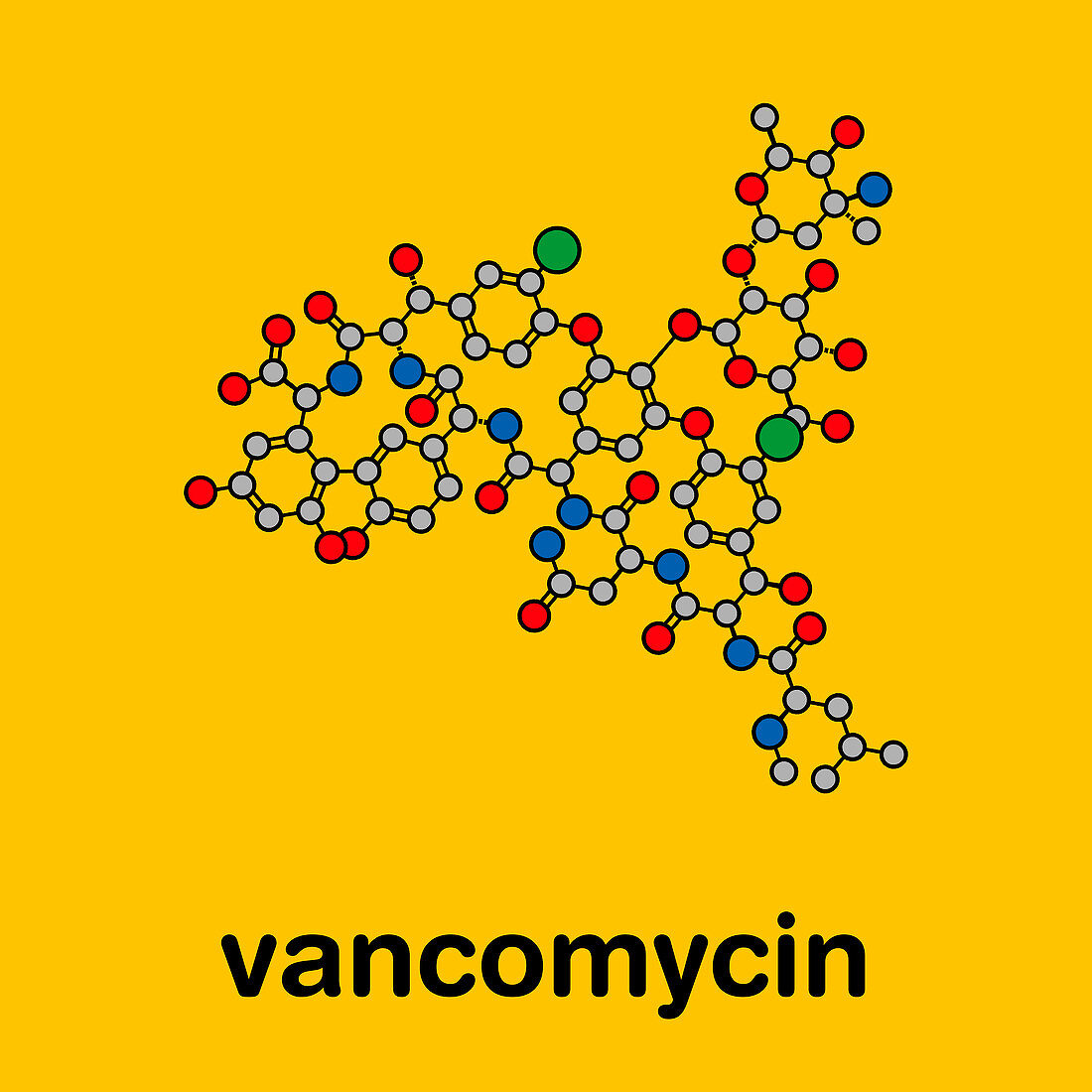 Vancomycin antibiotic drug, molecular model