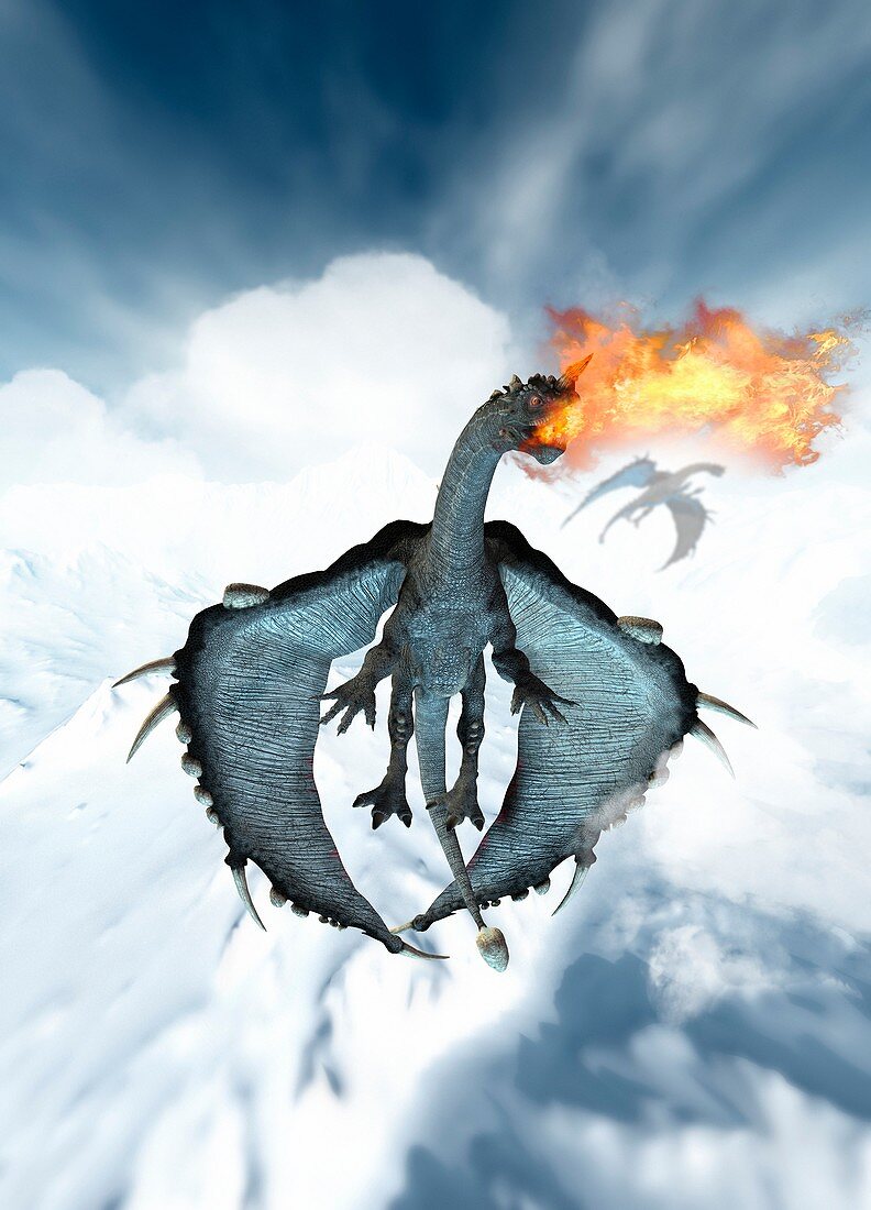 Dragon breathing fire, illustration