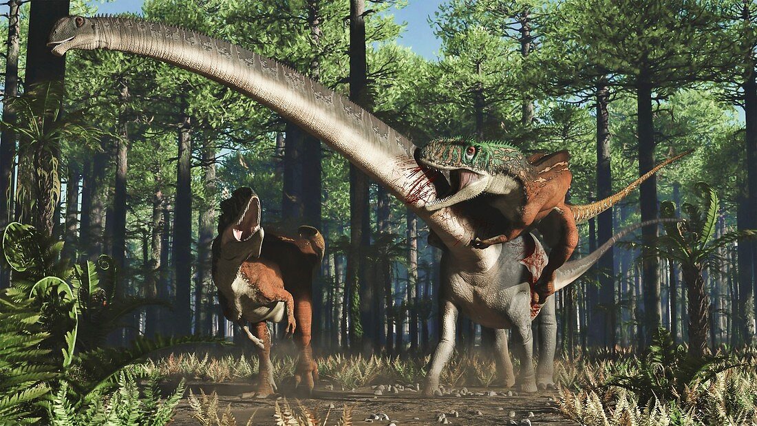 Yangchuanosaurus attacking Mamenchisaurus, illustration