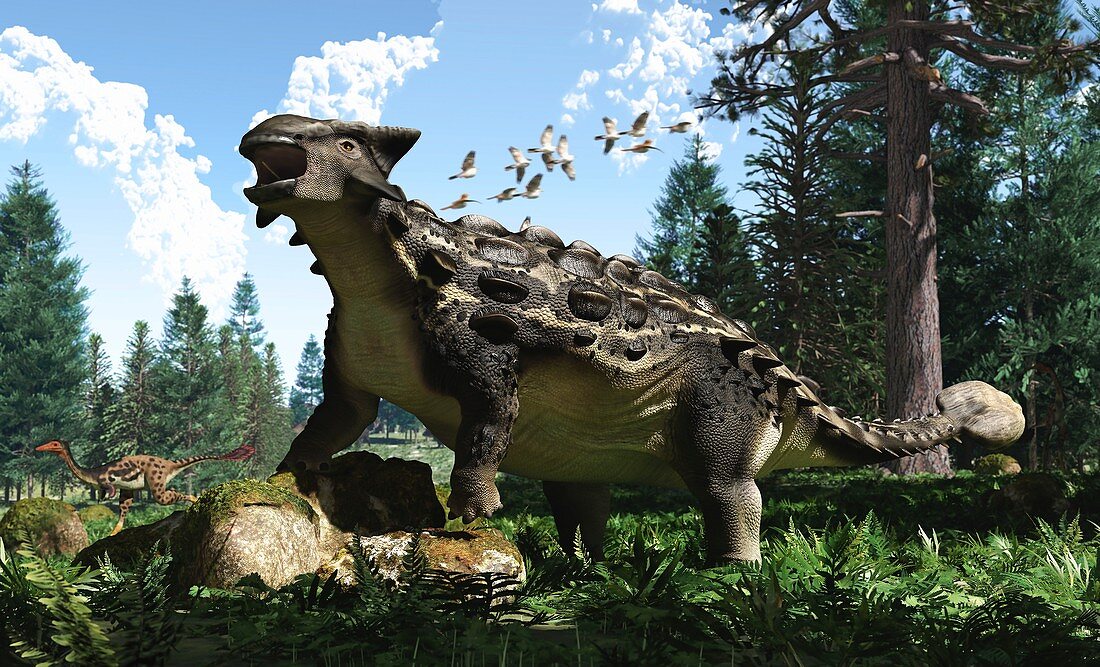 Ankylosaurus dinosaur calling, illustration