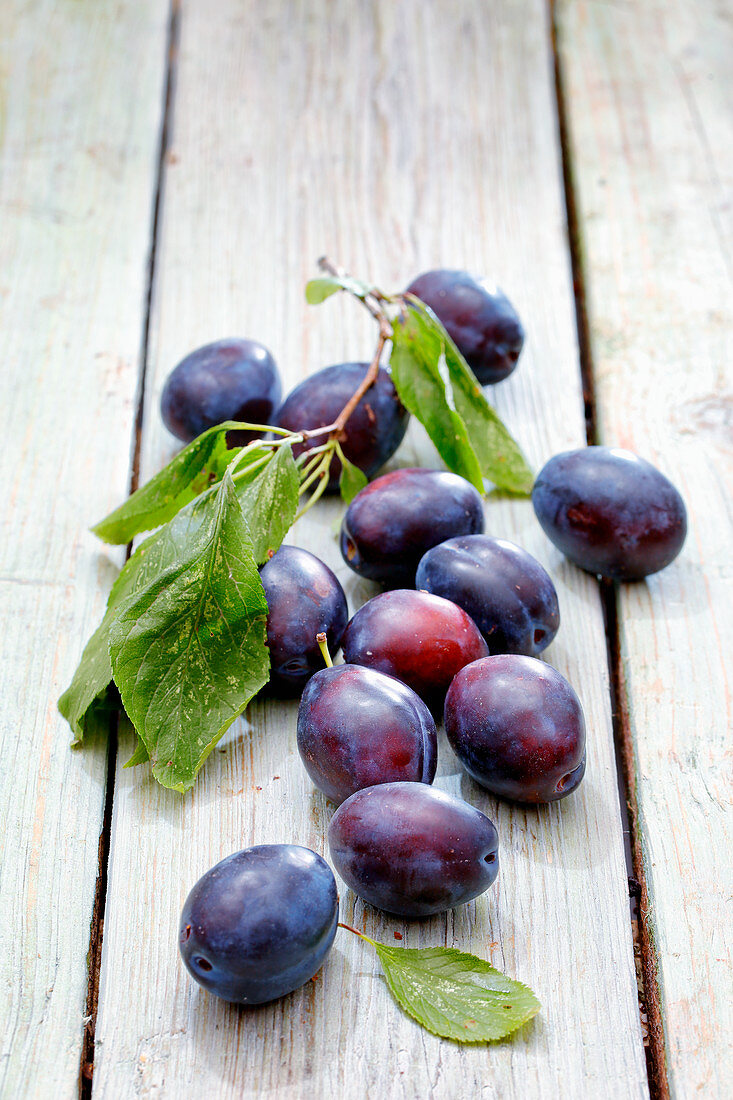 Plums with twigs and leaves