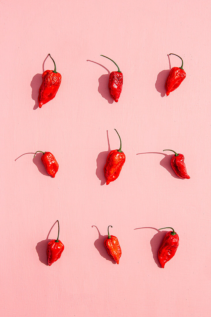 Nine fresh red chilli peppers on a pink surface