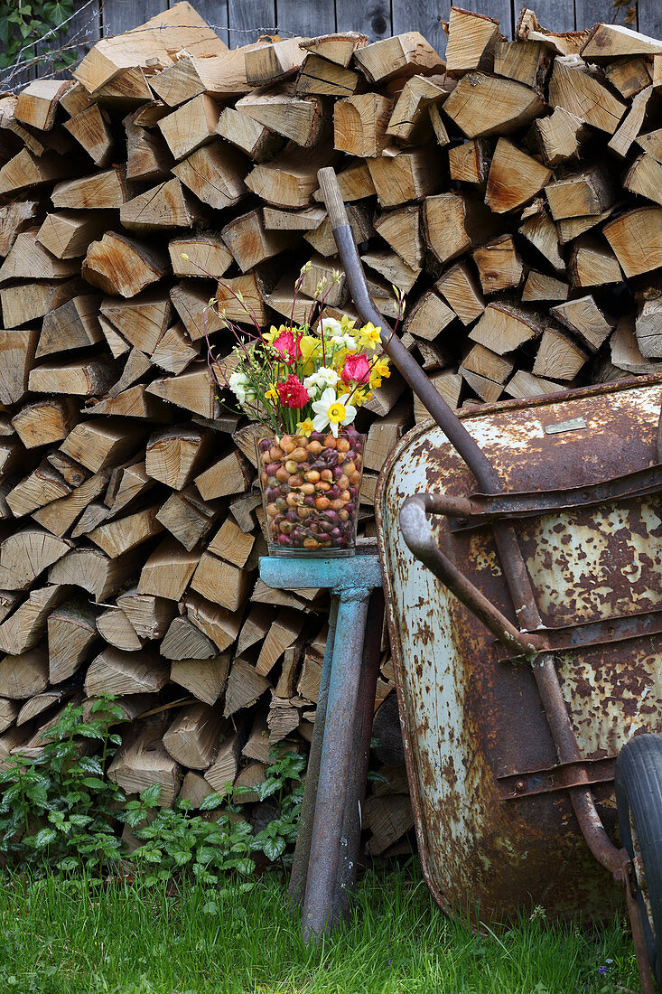 Bunte Frühlingsblumen und Blumenzwiebeln im Glasgefäß vor Holzlager