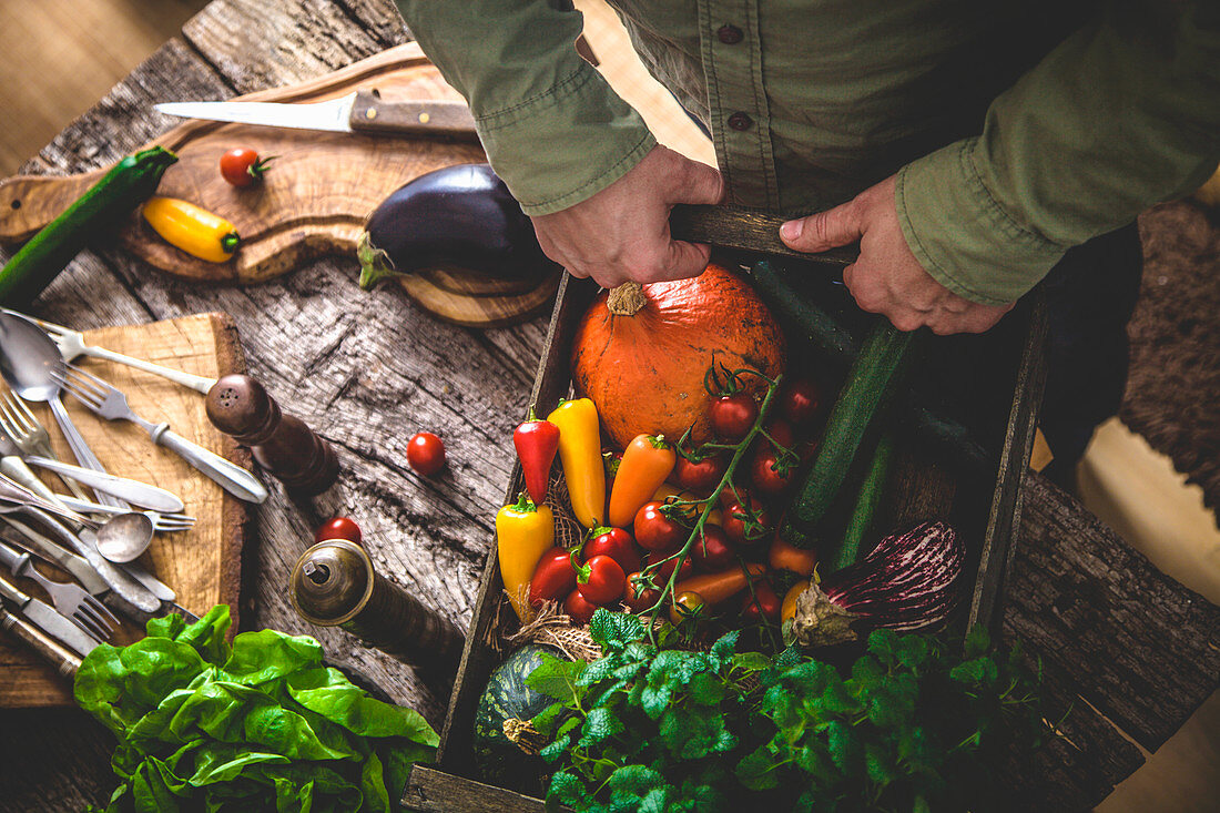 Farmer holding harvested vegetables