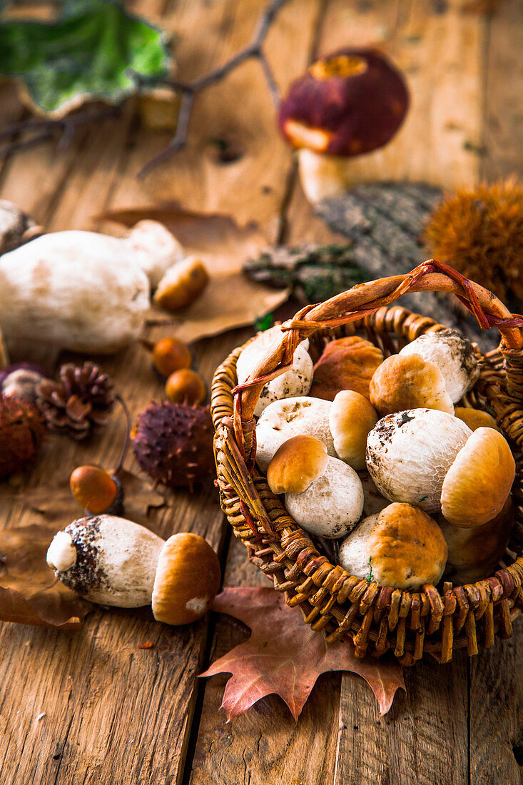 Autumn still life with mushrooms