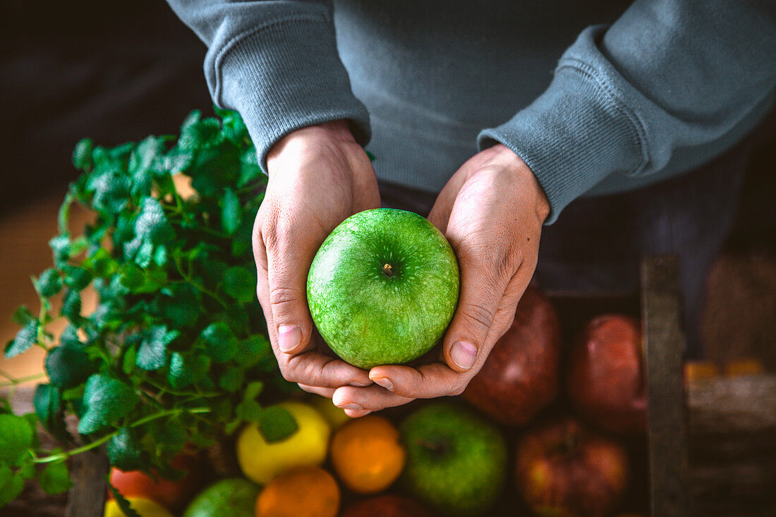 Hände halten grünen Apfel