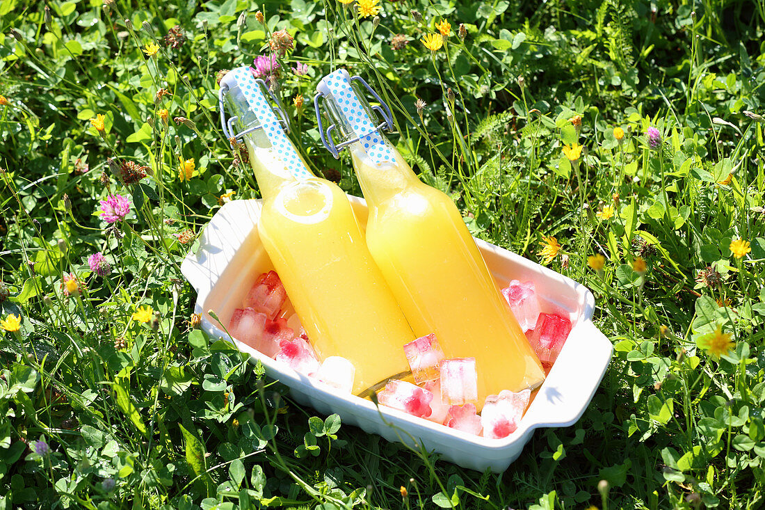 Lemonade bottles on fruity ice cubes