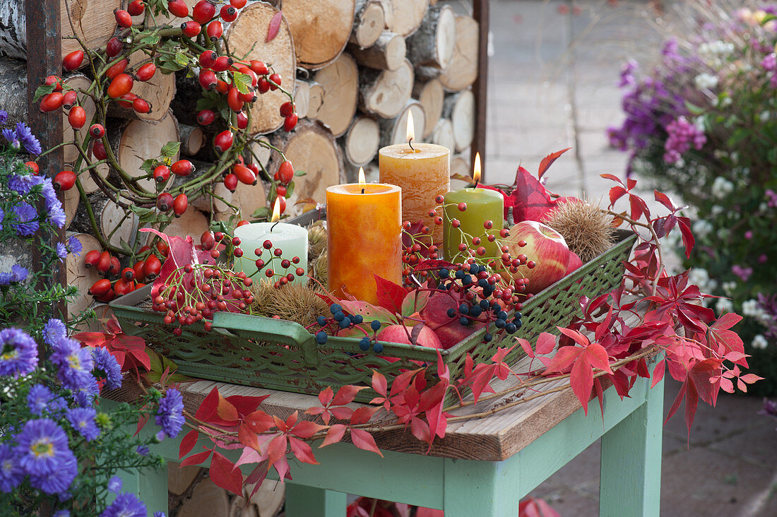 Autumn decoration with candles, apples, chestnuts, rosehips, and wild grape, rosehip wreath hanging from stacked firewood