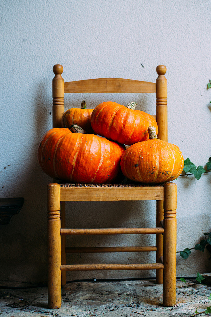 Shiny orange pumpkins composed on chairs