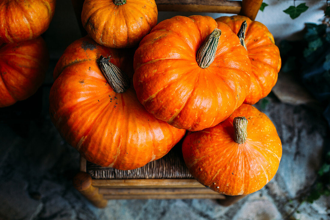 Shiny orange pumpkins composed on chairs