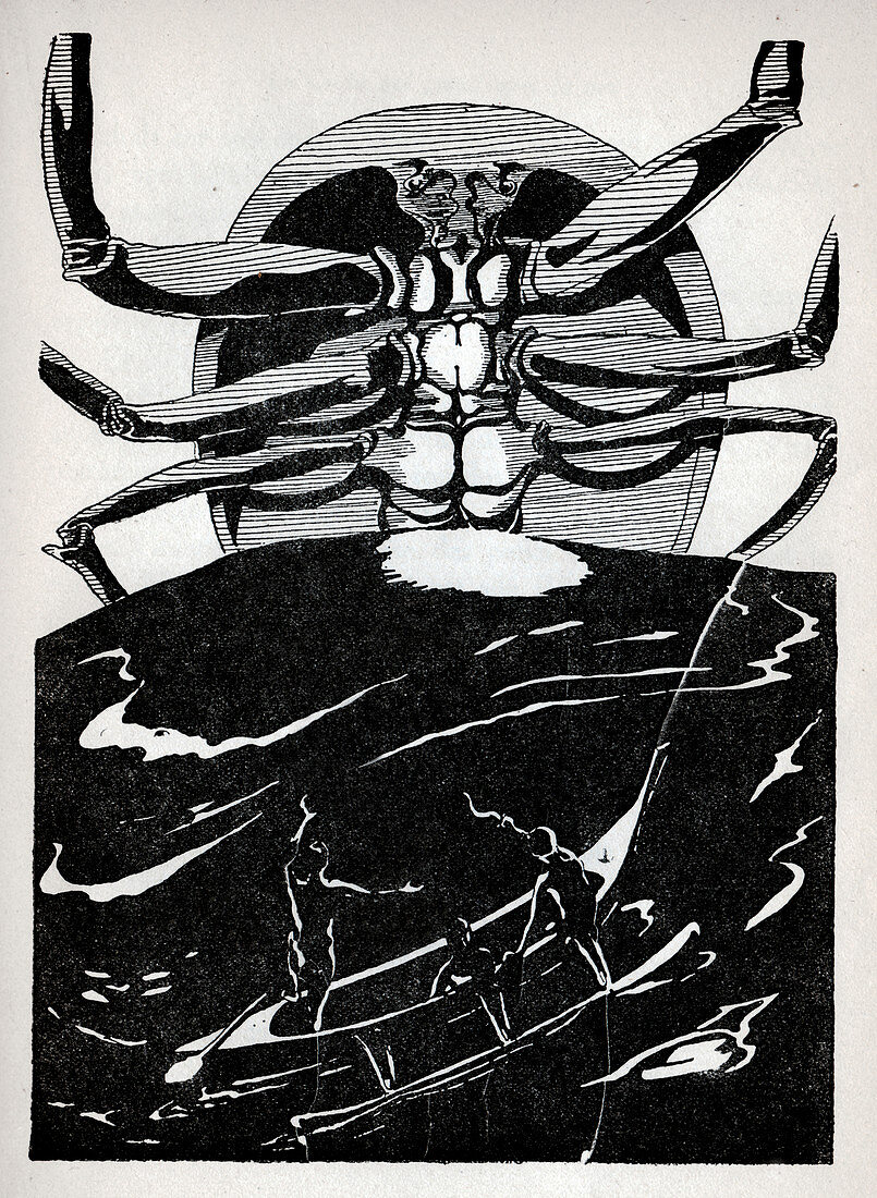 The Crab that Played with the Sea, illustration