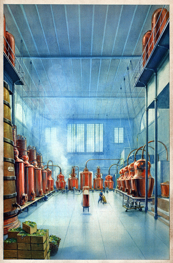 Benedictine distillery, illustration