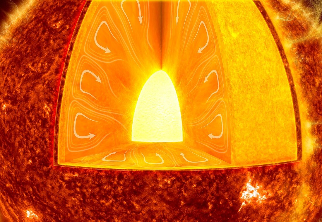 Internal structure of the Sun, illustration