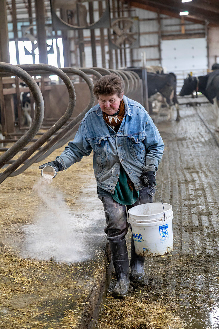 Dairy farm, Wisconsin, USA