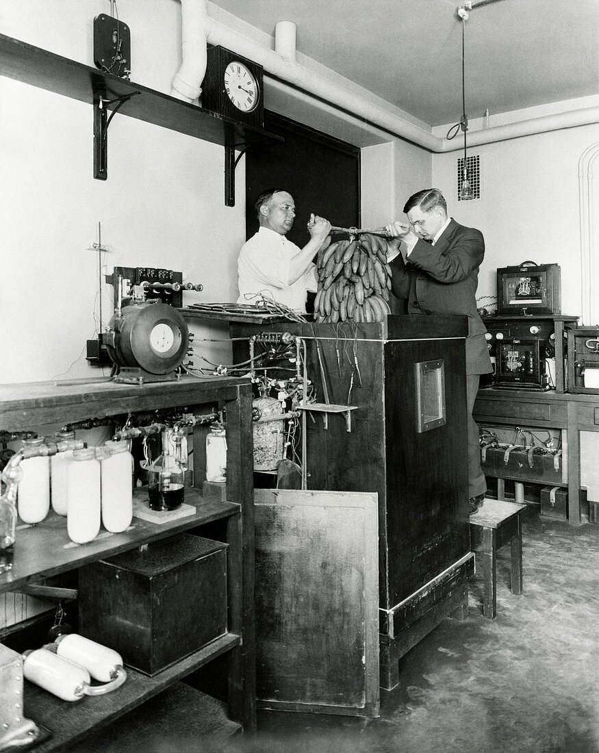 Calorimetry and metabolism research, 1912