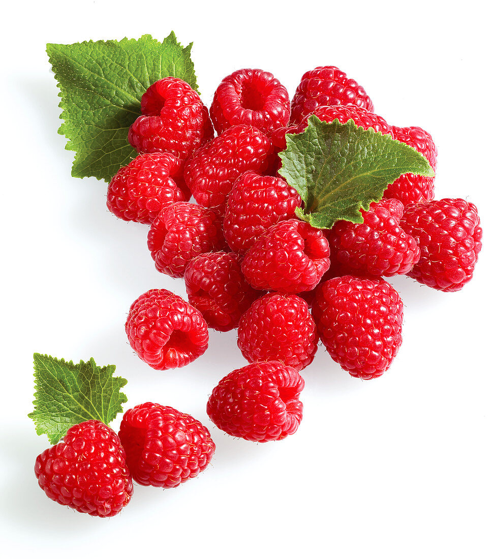 Frische Himbeeren auf weißem Untergrund