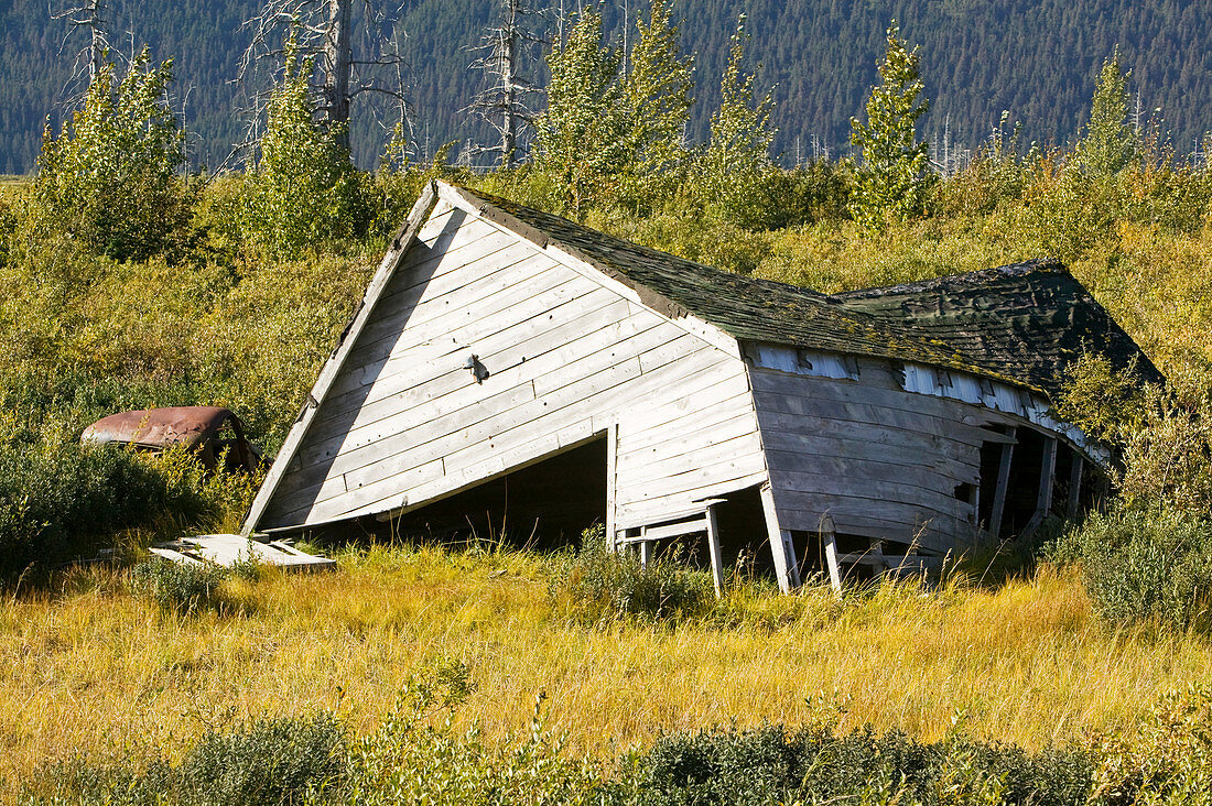 Collapsed barn due to permafrost melt, Alaska, USA