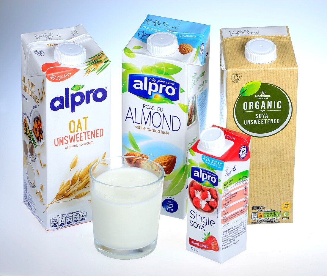 Plant-based vegan alternatives to dairy milk