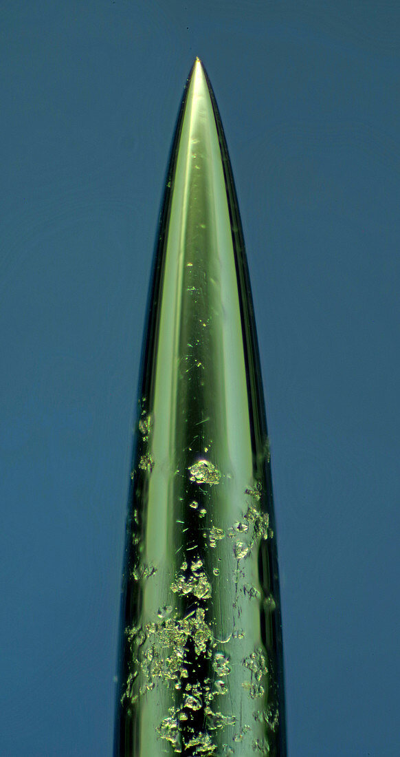 Used acupuncture needle, light micrograph