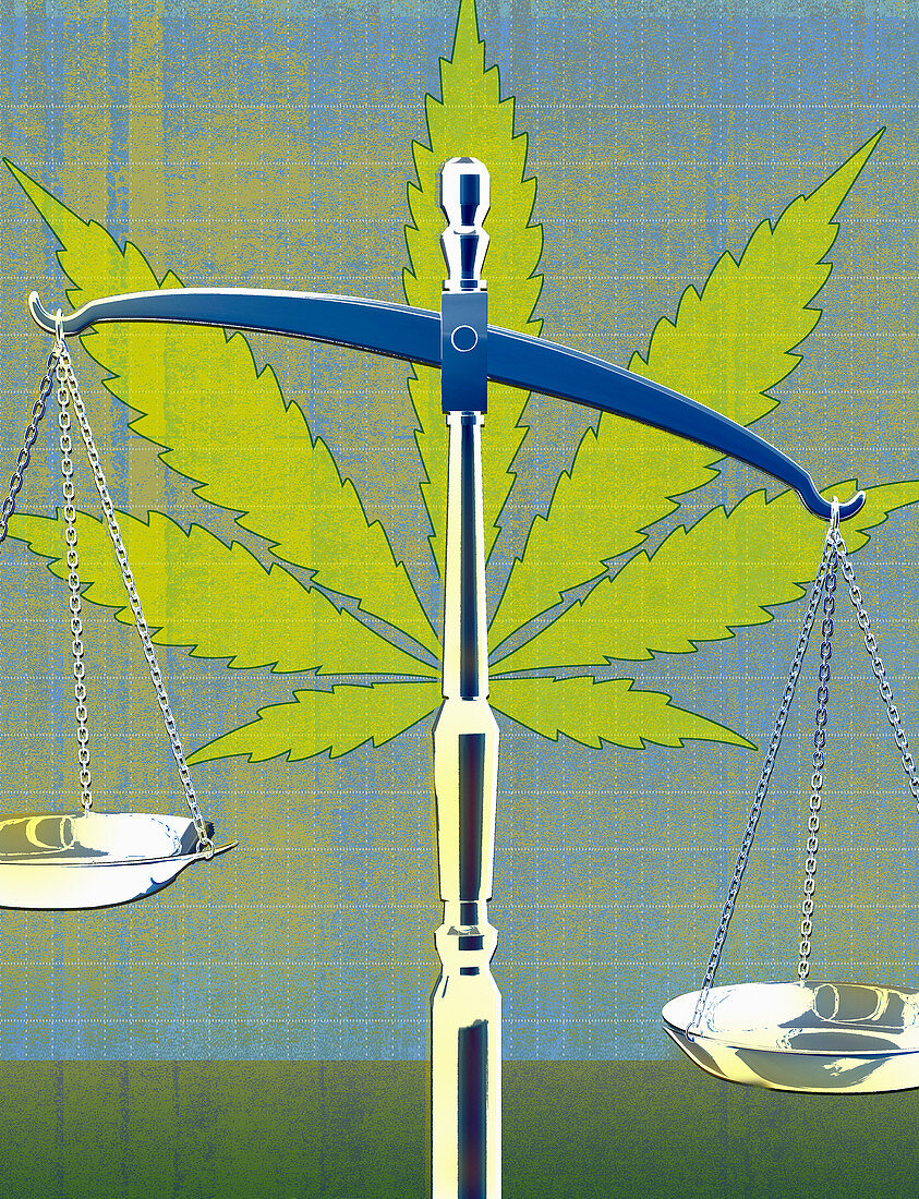 Legal marijuana, illustration