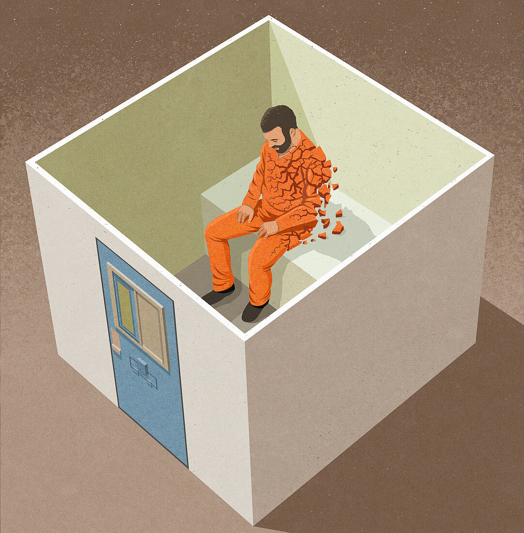Damage of solitary confinement, illustration