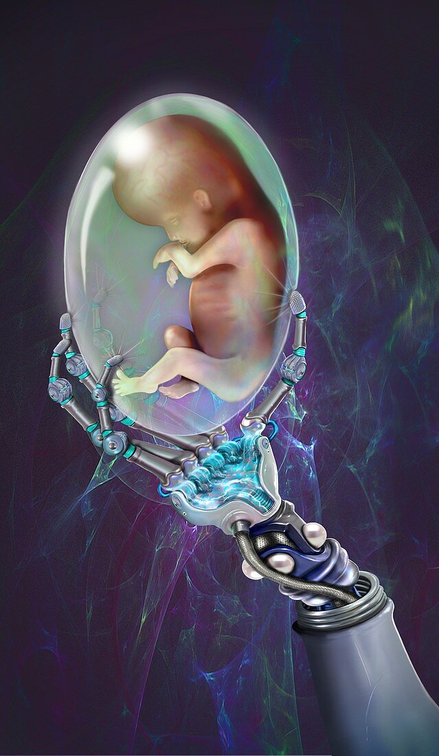 Robot holding a developing human foetus, illustration