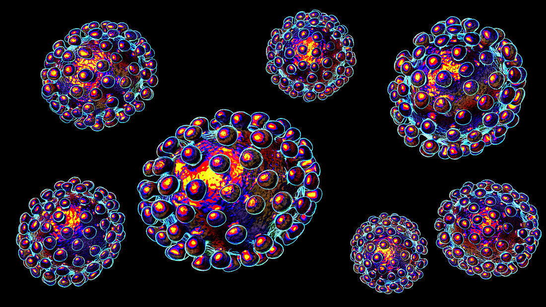 Coronavirus particles, illustration