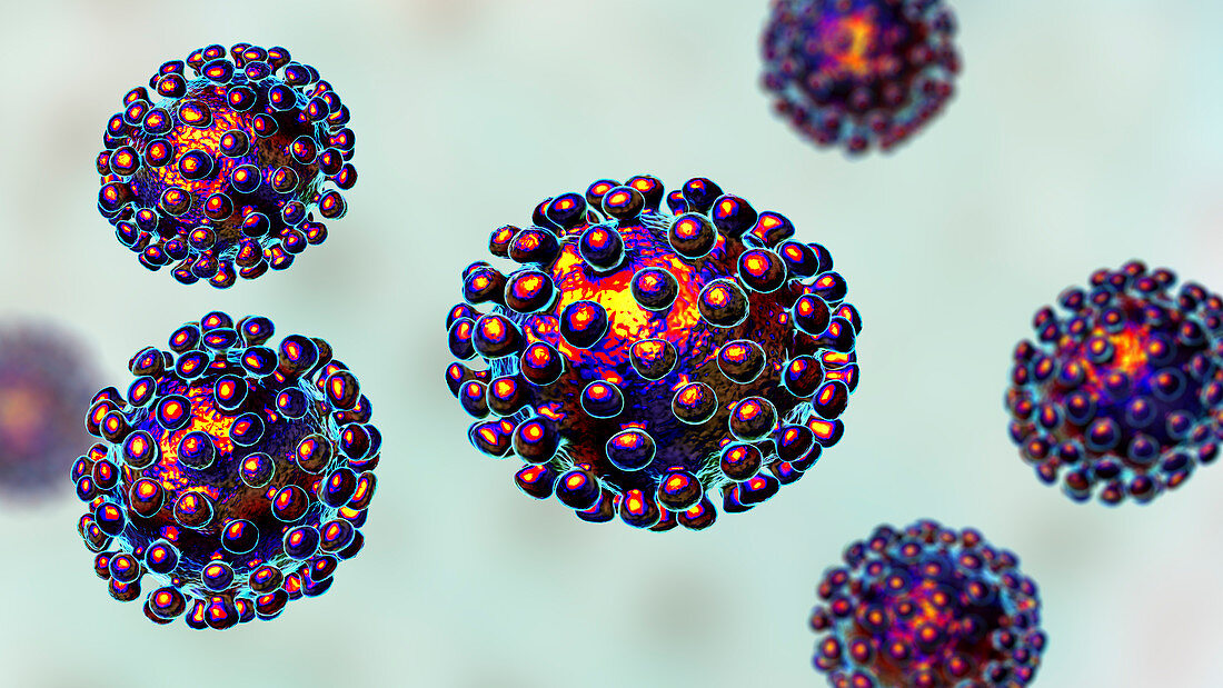 Coronavirus particles, illustration